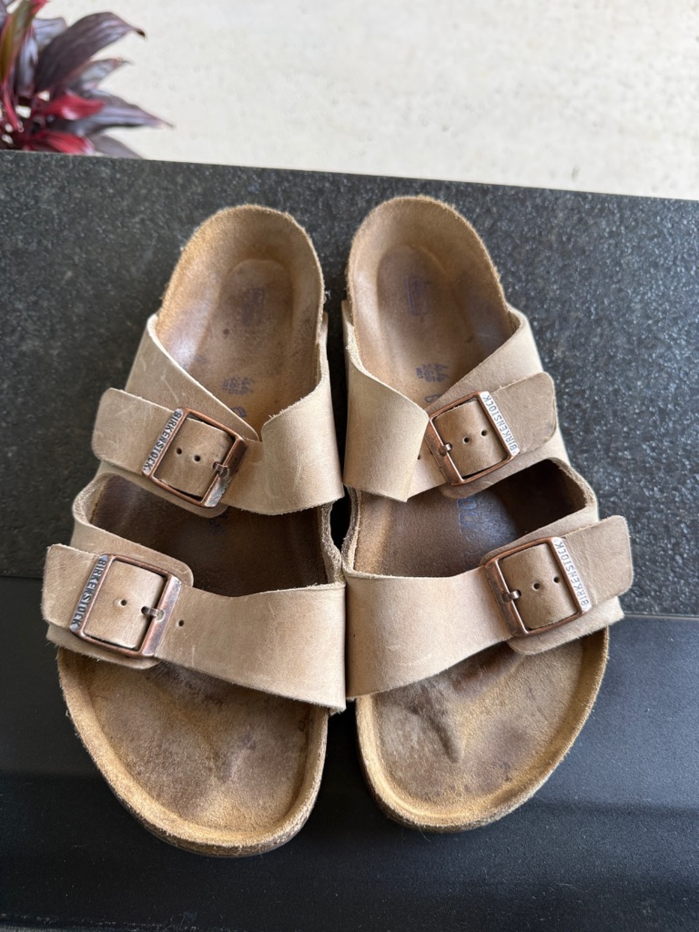 Birkenstock Arizona Sandals - Light Brown Suede Double Strap